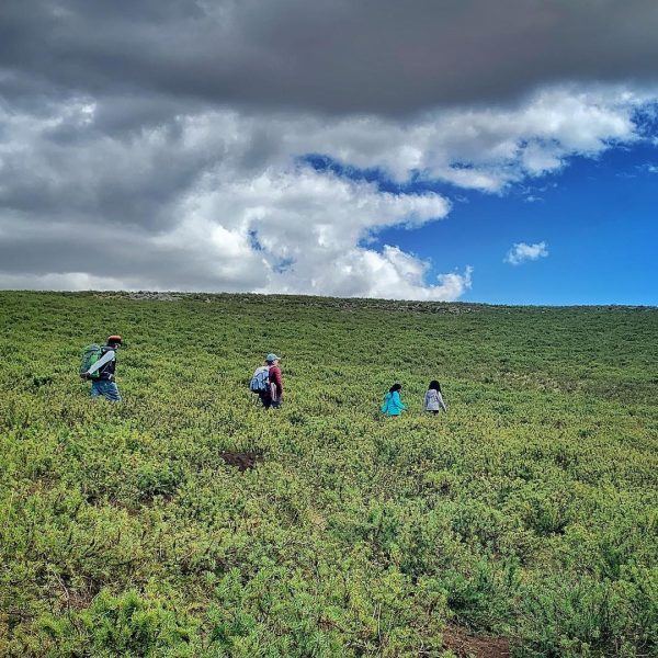 7  Days Bale Mountain Trekking